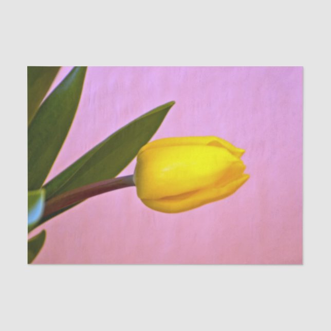 Papel De Seda Tulipa Amarela, Folhas Verdes, sobre Rosa (Frente )