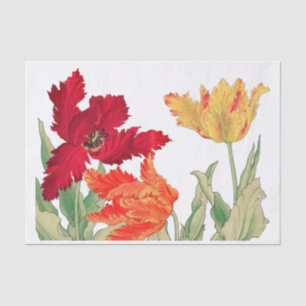 Papel De Seda Tulipa de papagaio, Decoupage Floral