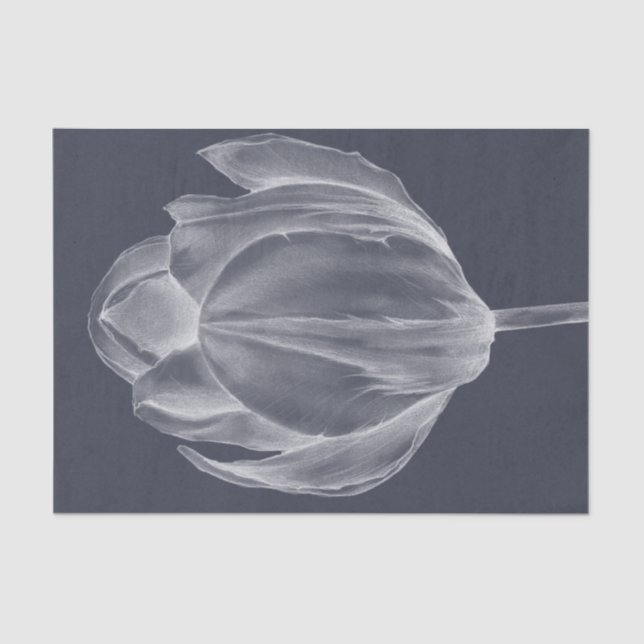 Papel De Seda Tulipa monocromática I (Frente )