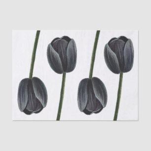Papel De Seda Tulipa Negra Minimalista
