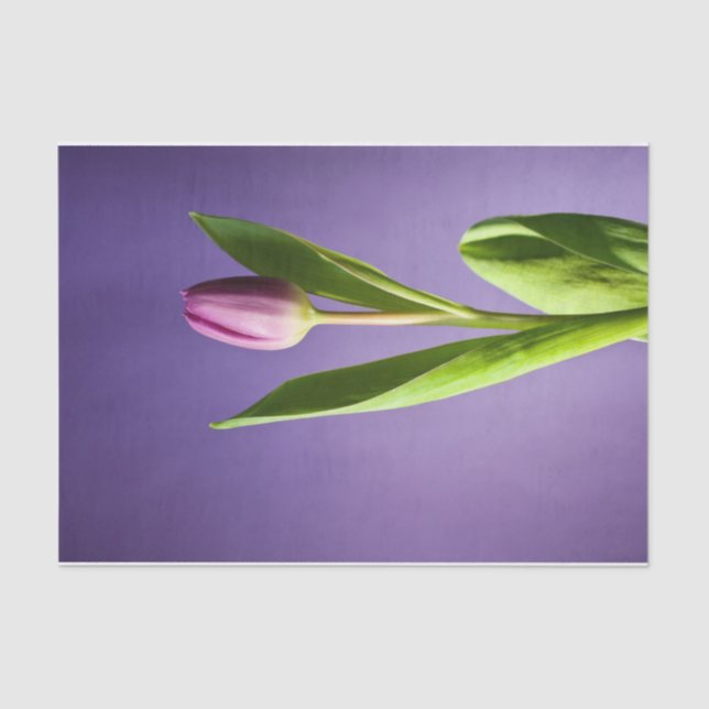 Papel De Seda Tulipa púrpura (Frente )