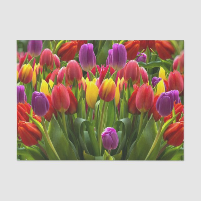Papel De Seda Tulipas Bris (Frente )