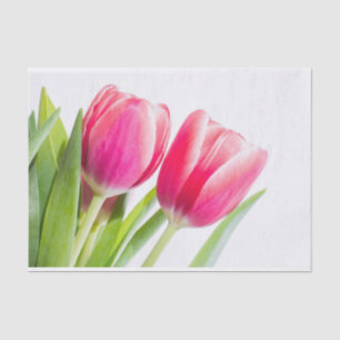 Papel De Seda Tulipas Rosa com Foto de Folhas Verdes