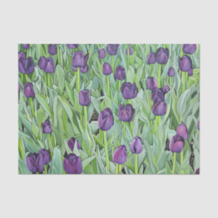 Papel De Seda Tulipas roxas