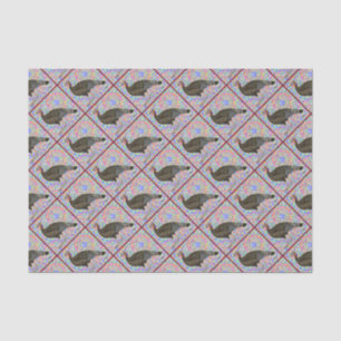 Papel De Seda Turquia Rainbow