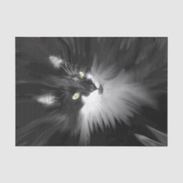 Papel De Seda Tuxedo Cat