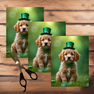 Papel De Seda Um cachorrinho bonito com Rua, roupa do Patrick, c