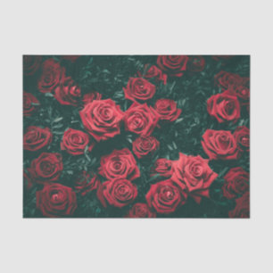 Papel De Seda Um "Campo" de Rosas Vermelhas Americanas Entre Fol