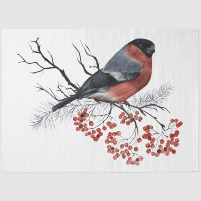 Papel De Seda Um Design de Natal da Série Pássaro 7 (Frente )