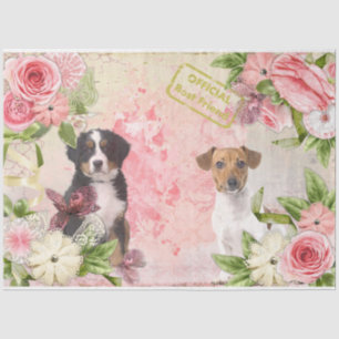 Papel De Seda Um Design Série Shabby Chic 15
