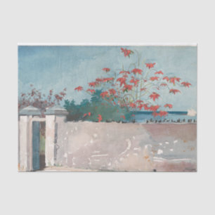 Papel De Seda Um Muro, Nassau por Winslow Homer
