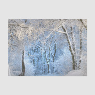 Papel De Seda um outro país das maravilhas do inverno