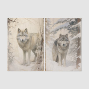 Papel De Seda Um Par Separado de Lobos na Floresta de Inverno