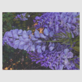Papel De Seda um toque lindo da natureza