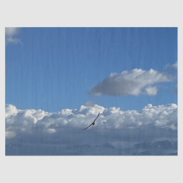 Papel De Seda Um voo sob as nuvens (Frente )