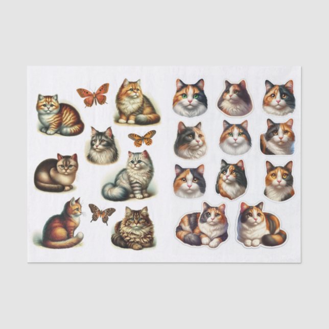 Papel De Seda Uma Coleção de Cortes Caprichosos com Gatos Calico (Frente )