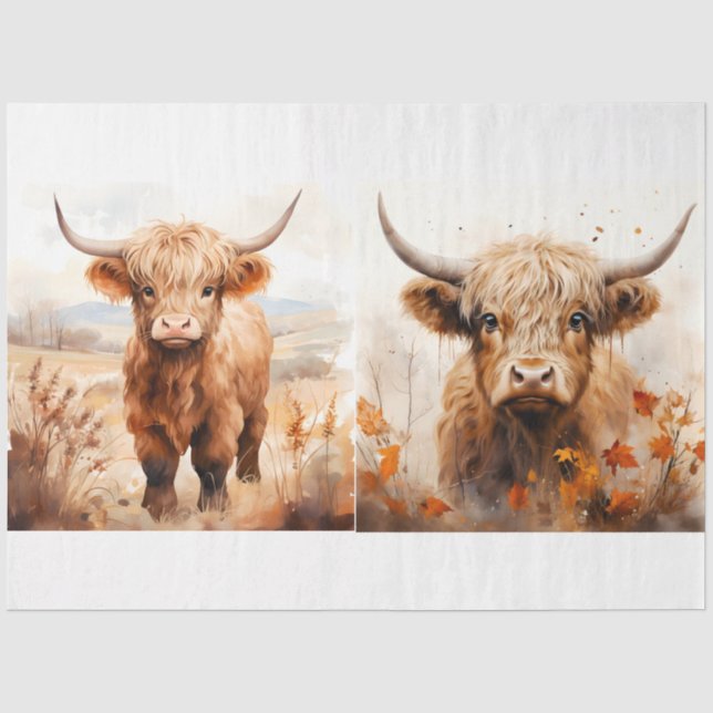 Papel De Seda Uma Coleção de Designs de Vaca das Terras Altas 5 (Frente )