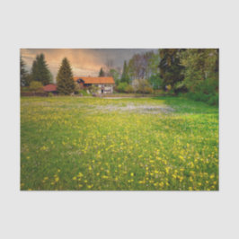 Papel De Seda Uma Fazenda ao Pôr do Sol com um Campo de Flores B