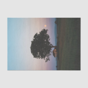 Papel De Seda Uma grande árvore solitária protegendo um celeiro