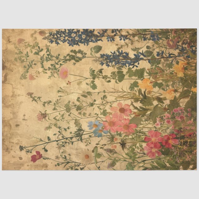 Papel De Seda Uma Série de Design de Efêmeras de Primavera #9 (Frente )