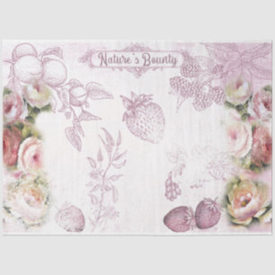 Papel De Seda Uma Série Shabby Chic Design 37