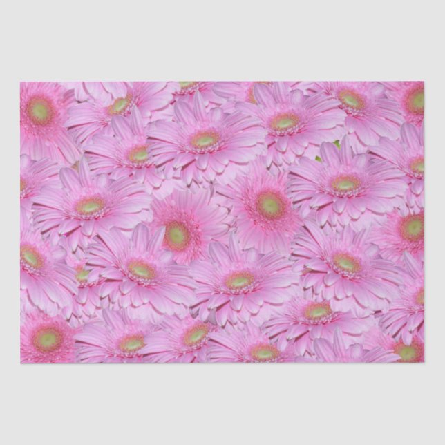 Papel De Seda Uma Sinfonia de Gerberas Rosa, (Frente )