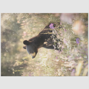 Papel De Seda Urso de Dissociação no Campo de Flores Selvagens
