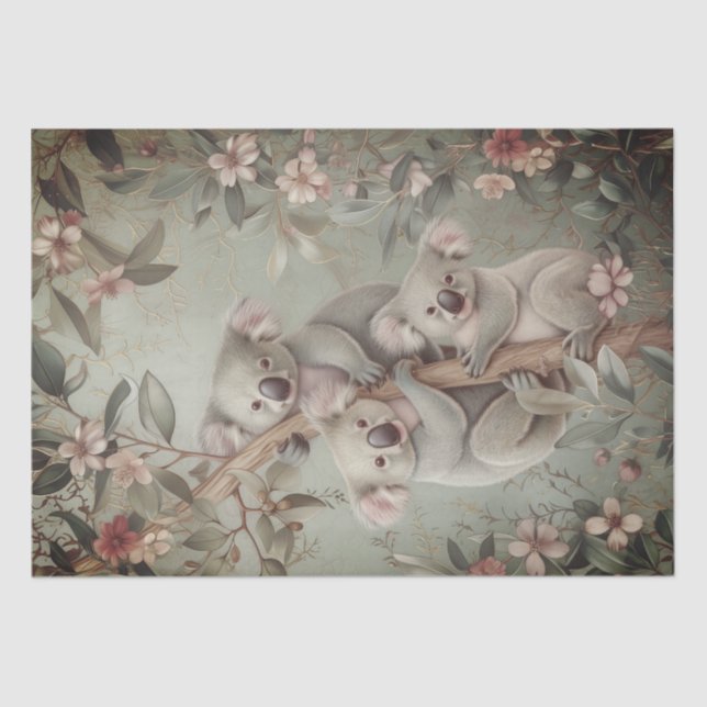 Papel De Seda Urso de Koala Australiano Eucalyptus (Frente )