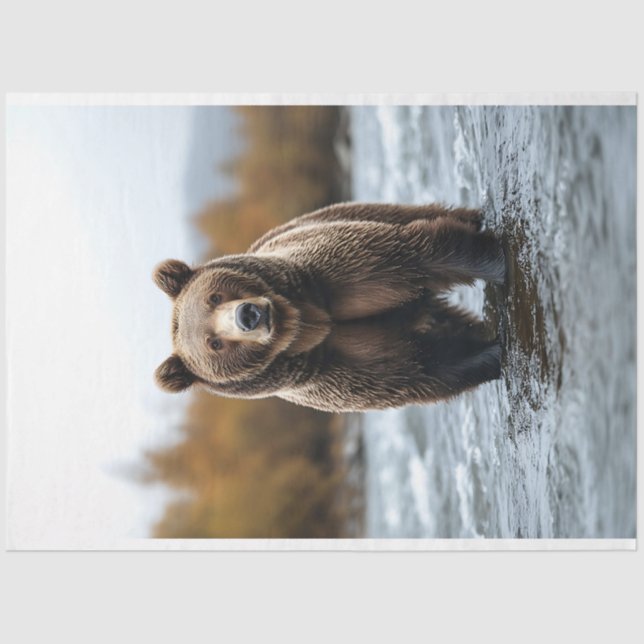 Papel De Seda Urso Grizzly atravessando uma nuvem de rio (Frente )