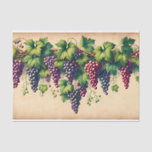 Papel De Seda Uvas e Vinha na Descolagem de Pergaminho