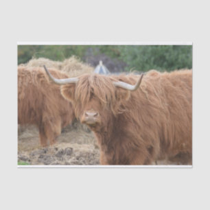 Papel De Seda Vaca das montanhas