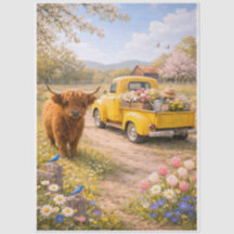 Vaca das Terras Altas na Primavera