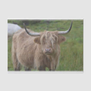 Papel De Seda Vaca loura desgrenhado das montanhas