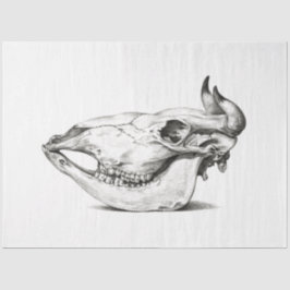 Papel De Seda Vaca Touro Crânio Descamação Vintage Fazenda Ranki