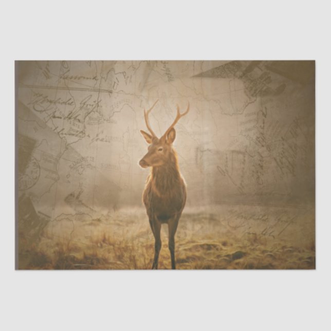 Papel De Seda Veado na floresta (Frente )