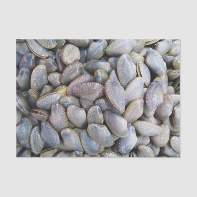 Papel De Seda Vênus Clam [ห อ ย ล า ย] (Frente )