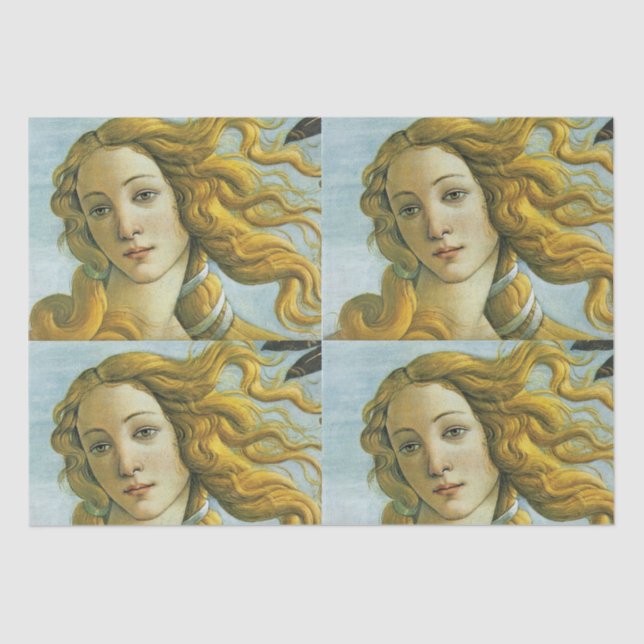 Papel De Seda Vênus * Sandro Botticelli Tecido (Frente )