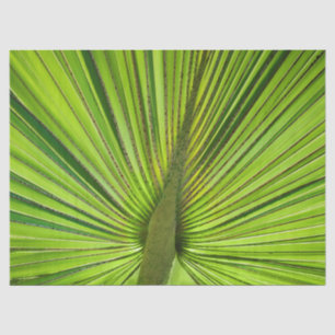 Papel De Seda Verde tropical