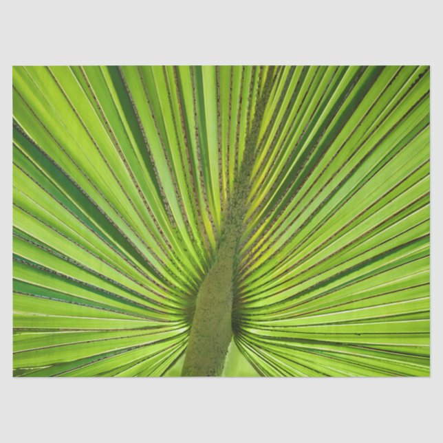 Papel De Seda Verde tropical (Frente )