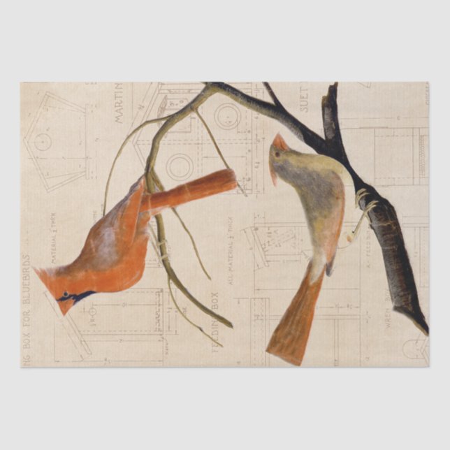 Papel De Seda Vermelho de Decoupage Blueprint Blueprint do Pássa (Frente )