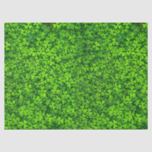Papel De Seda Vestuário Verde com gotas de água