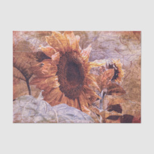 Papel De Seda Vintage Amarelo Sunflower Textura