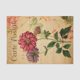 Papel De Seda Vintage Anemone Japonica Floral Flowers French