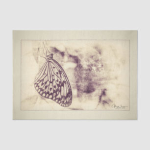 Papel De Seda Vintage Antique Sepia Butterfly Arte