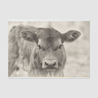 Papel De Seda Vintage Baby Cow Calf Paper