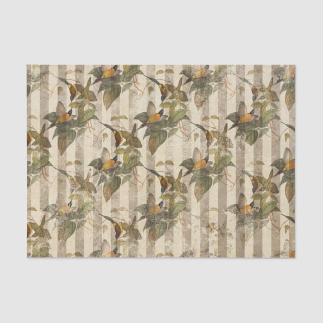 Papel De Seda Vintage Bird Ephemera Disoupage (Frente )