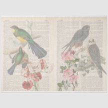 Vintage Bird Series Design 6