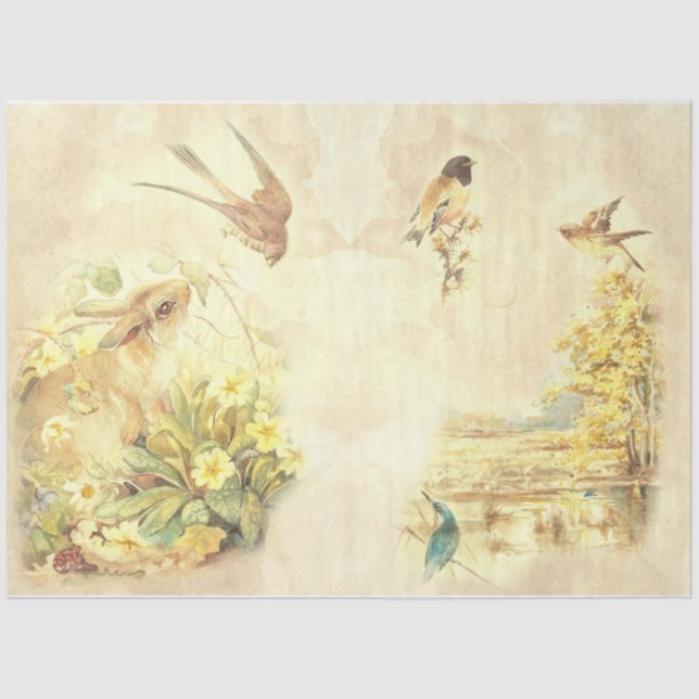 Papel De Seda Vintage Bird Series Design 8 (Frente )