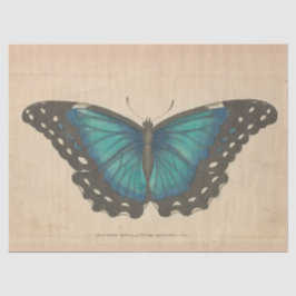 Papel De Seda Vintage Blue Butterfly Ephemera Decoupage Teal Tis