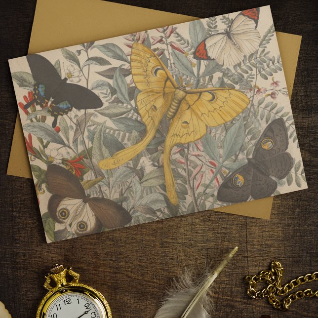 Papel De Seda Vintage Botânica Luna Moth Decoupage (Criador carregado)